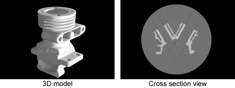 3D model / Cross section view